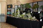 SBA-National Bonsai Exhibition 2014 (3).jpg